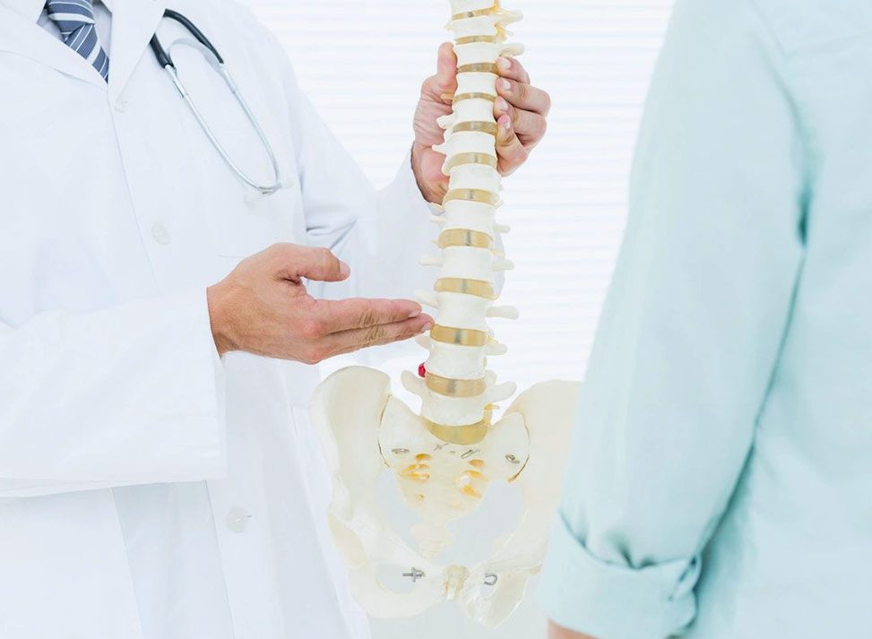 A doctor showing someone how to fix their spinal bone.